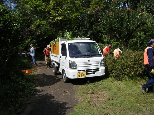 山野草ガーデン整備