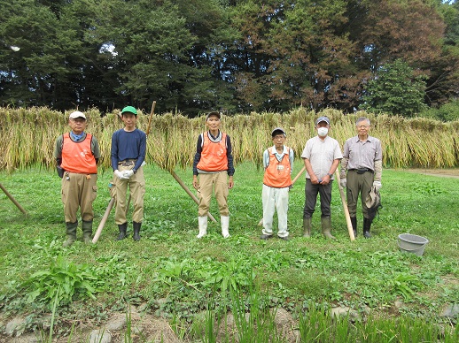 稲刈り