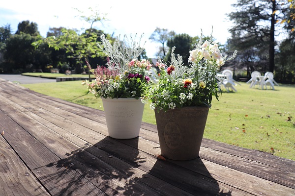 春まで楽しめる寄せ植え教室