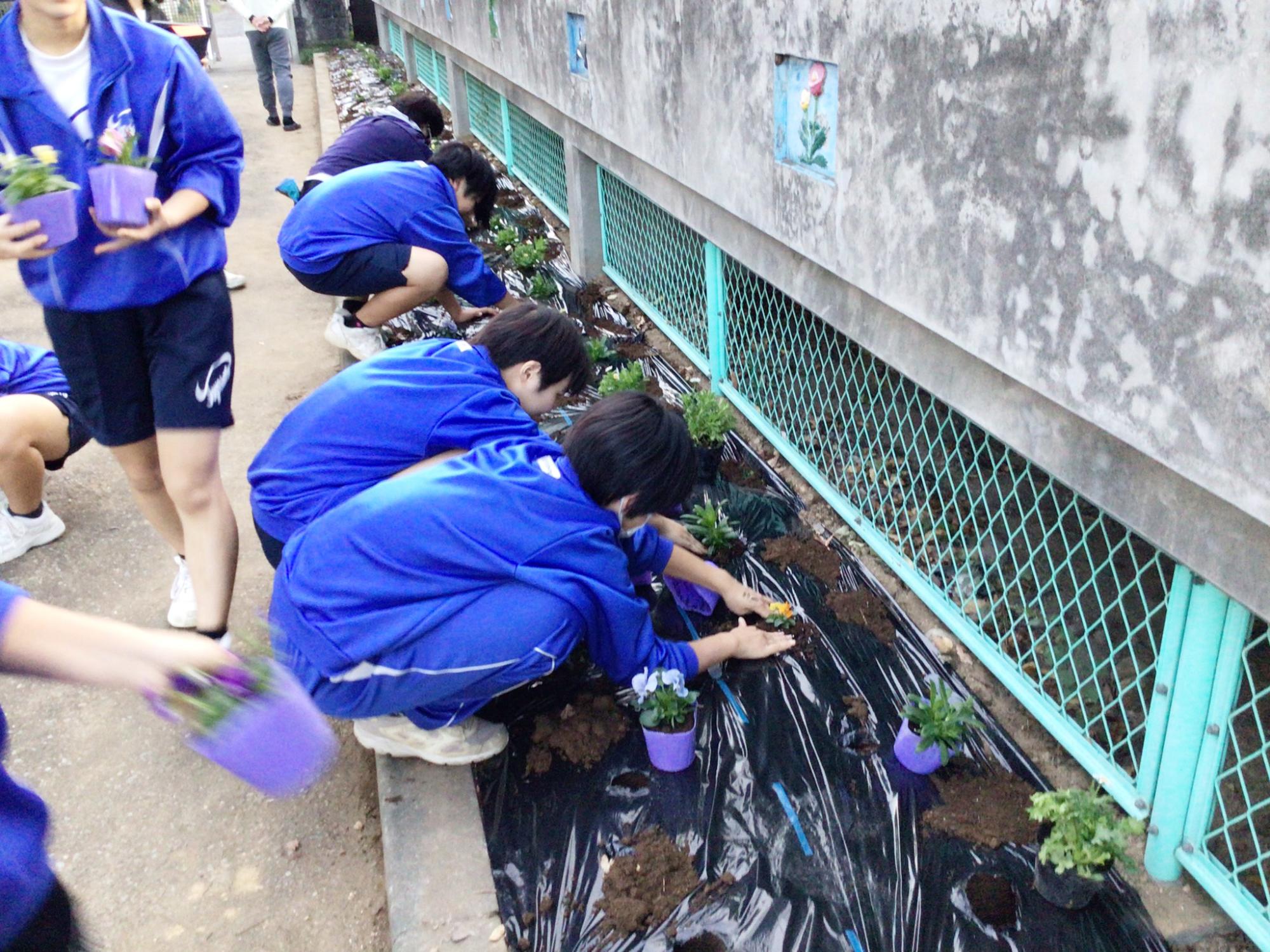 豊里中学校