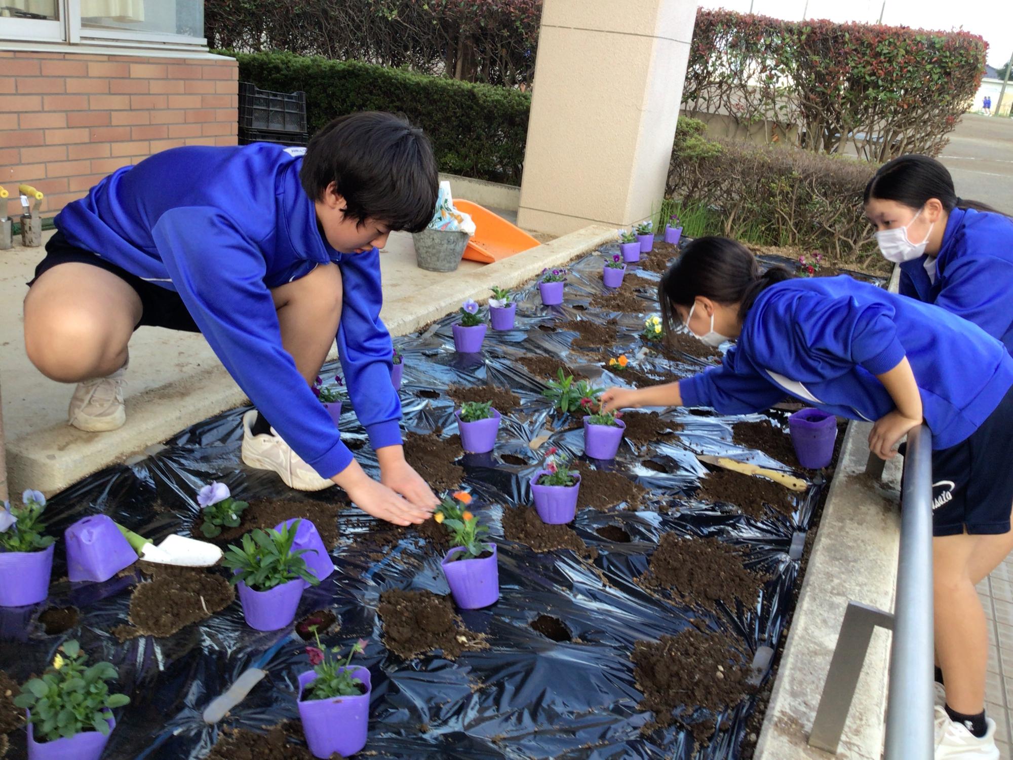 豊里中学校