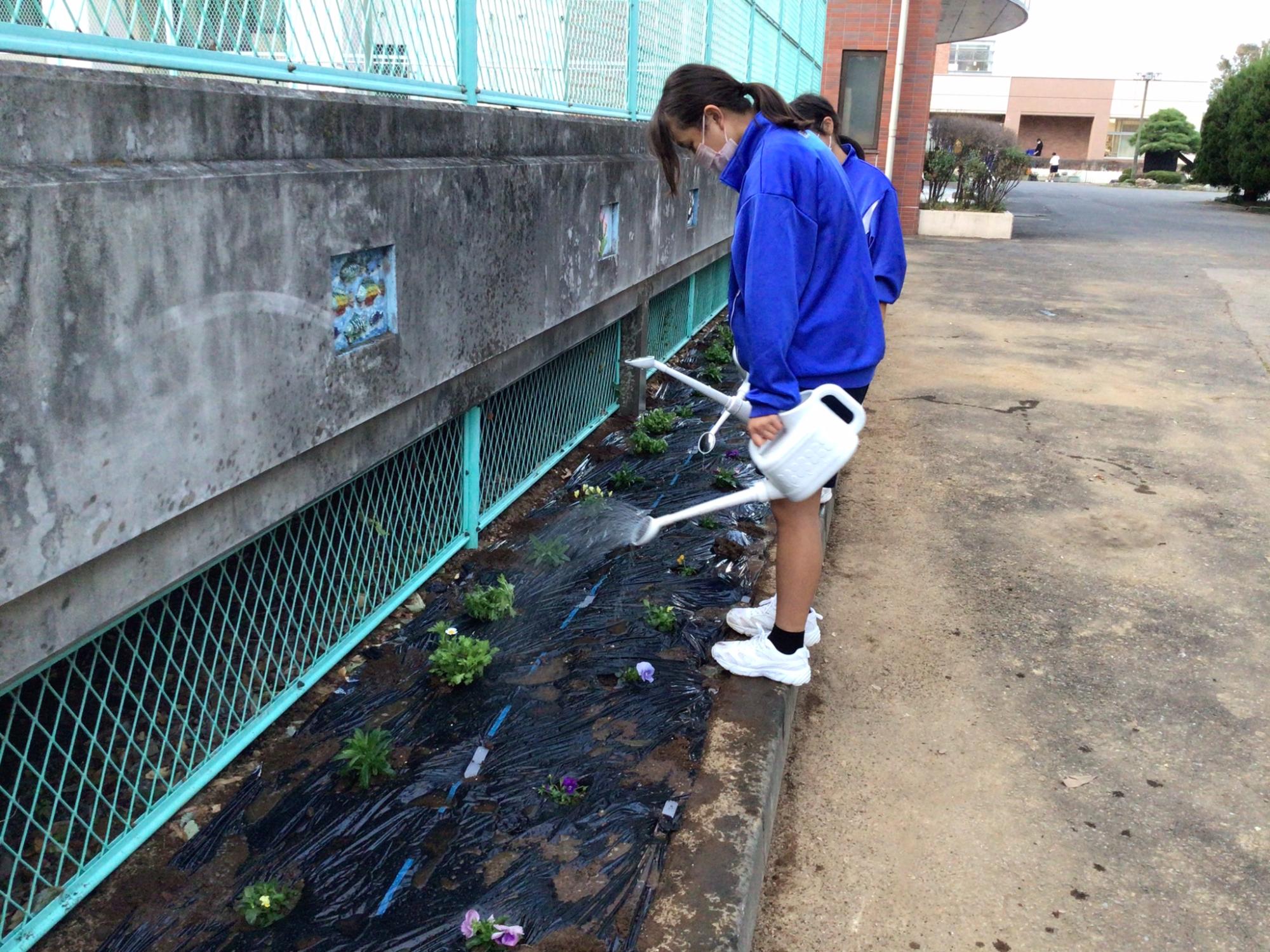豊里中学校