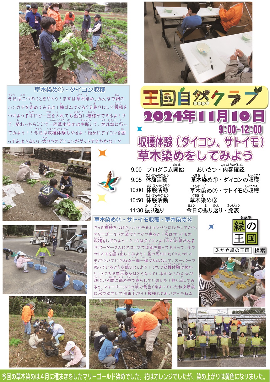 王国自然クラブ活動報告