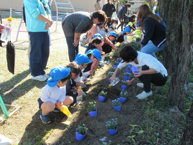 藤沢幼稚園