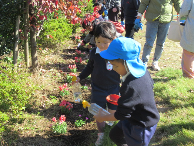 藤沢幼稚園