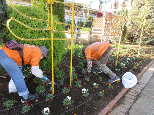 ステイションガーデン除草作業