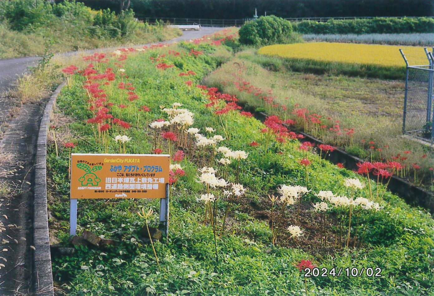 旧日本煉瓦上敷免工場西道路側面環境整備