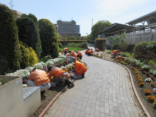 ステイションガーデン除草作業