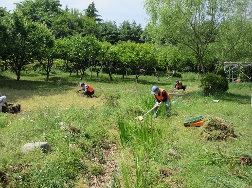 小川の清掃