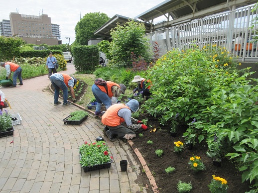ステイションガーデン植栽