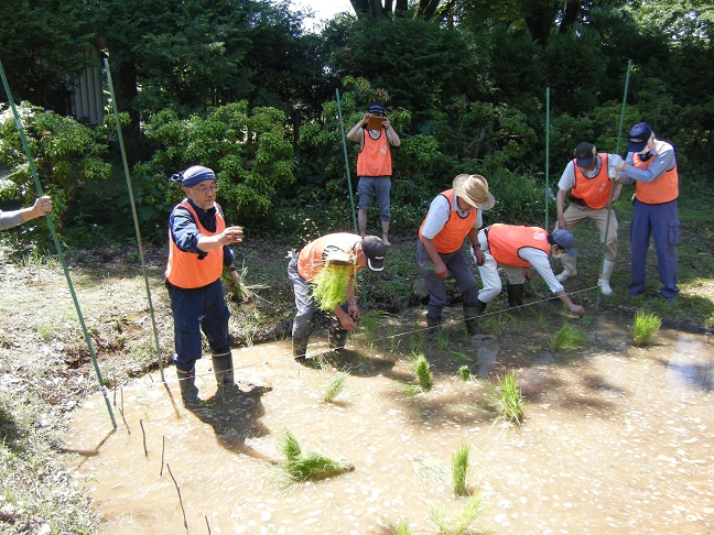 田植え