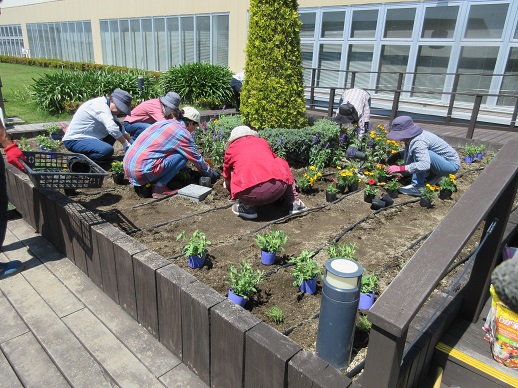 天空の散歩道植栽