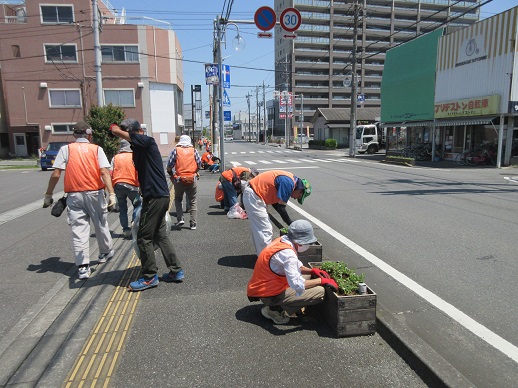 駅通り植栽