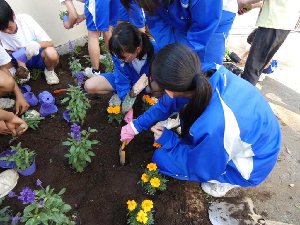 藤沢中学校