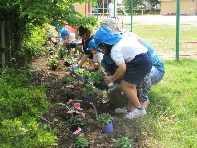 藤沢幼稚園