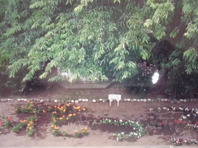 花園小学校