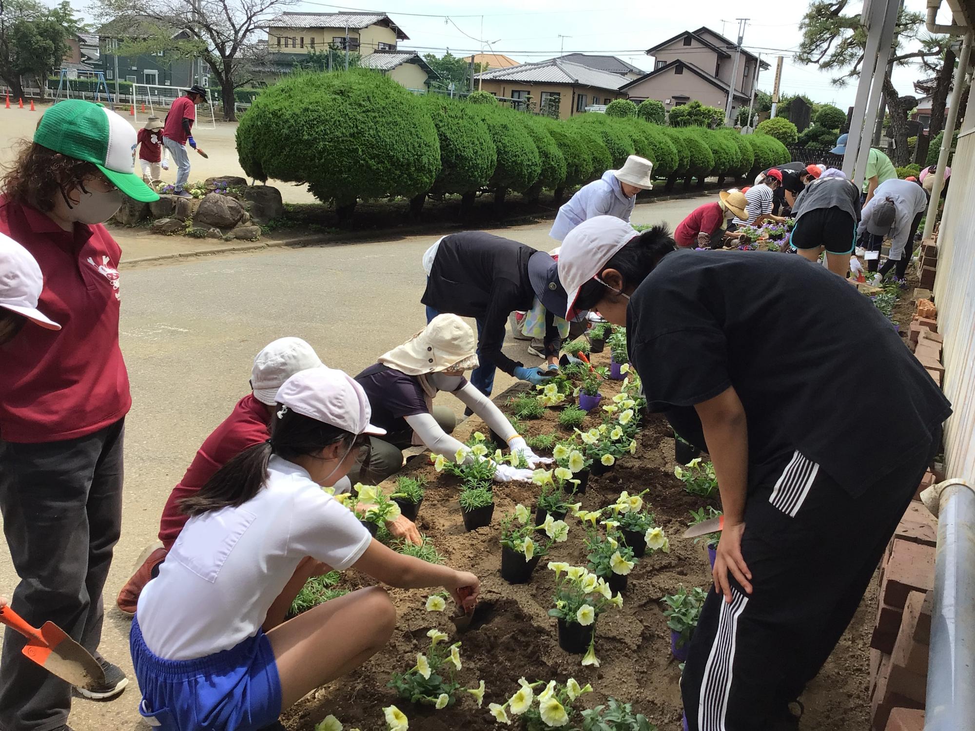 岡部小学校