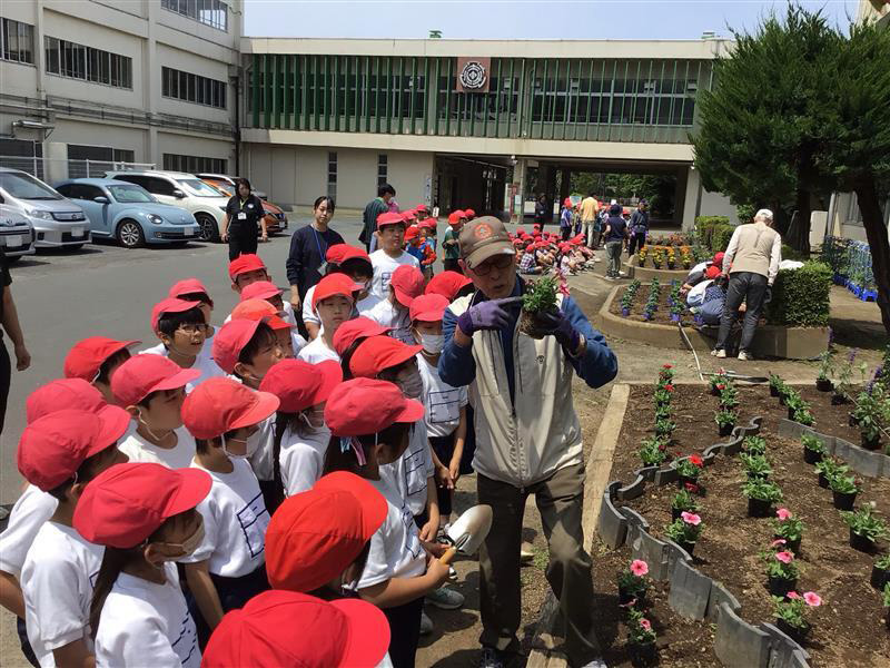 常盤小学校