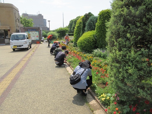 ステイションガーデン除草