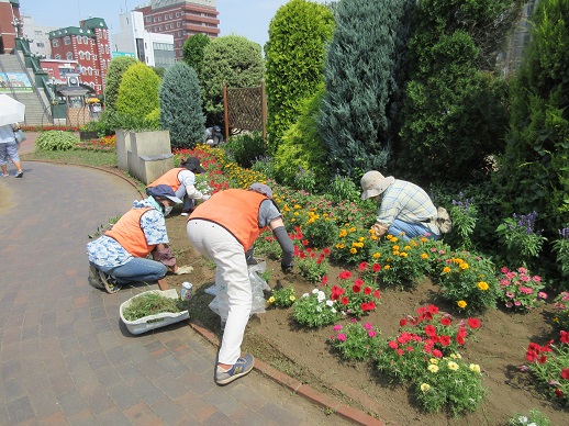 ステイションガーデン除草