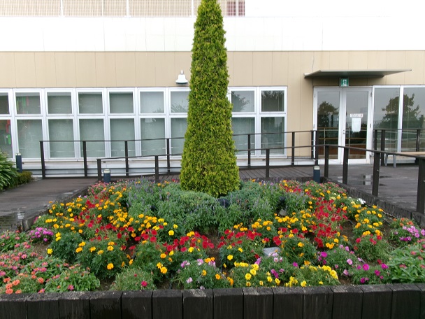 天空の散歩道