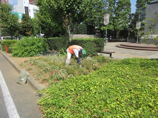 ステイションガーデン除草