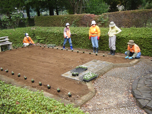 サンクンガーデンビオラ植栽