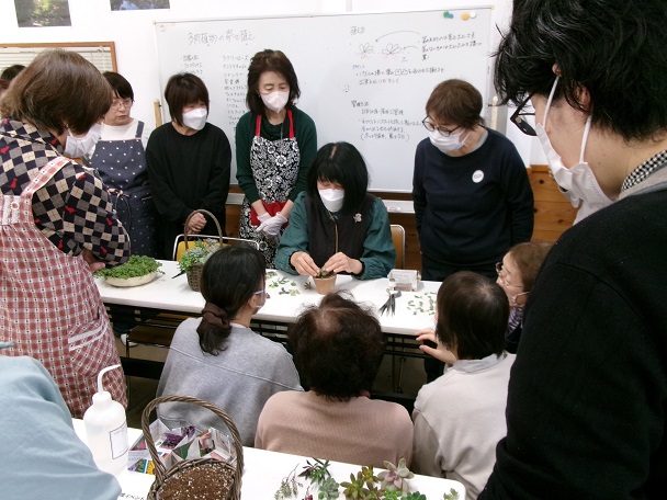 多肉植物の寄せ植え教室