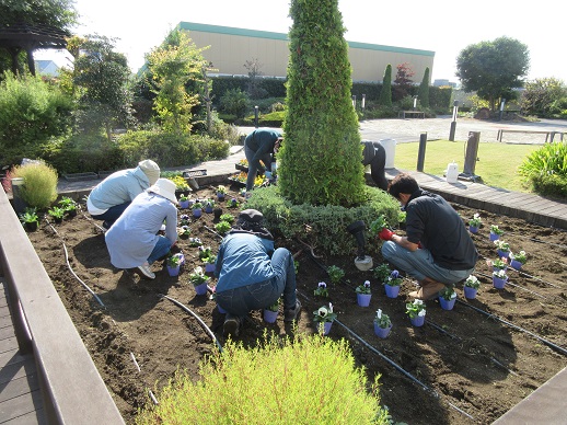 天空の散歩道植栽