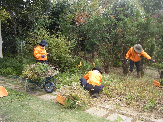 フローラガーデン植栽