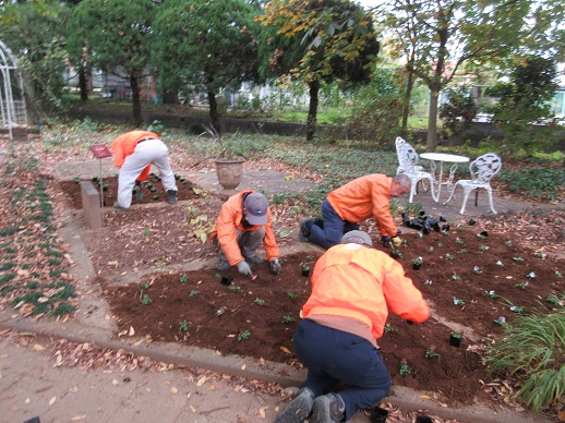 ヒーリングガーデン植栽