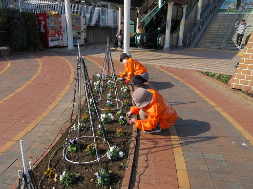 イルミネーション設置