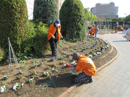 イルミネーション設置