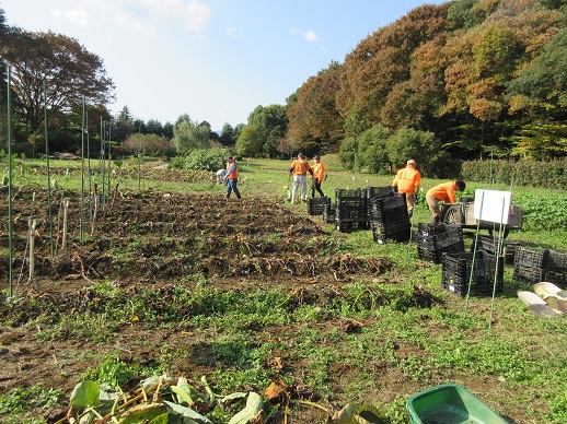 秋の収穫体験準備