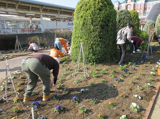 ステイションガーデンイルミネーション