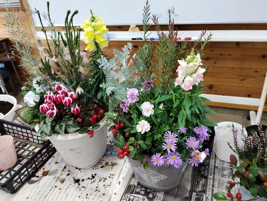 春まで楽しめる寄せ植え教室