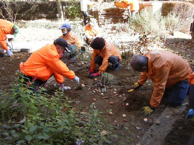 ヒーリングガーデン球根植栽