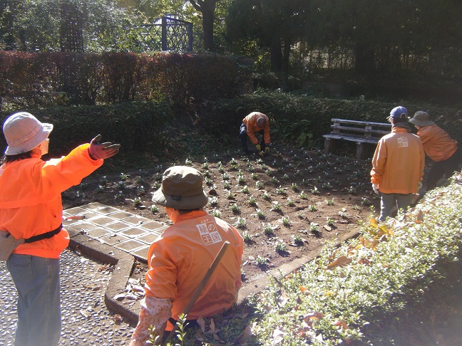 サンクンガーデン植栽