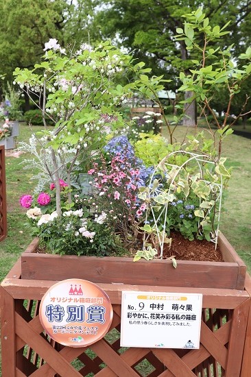 箱庭部門特別賞3
