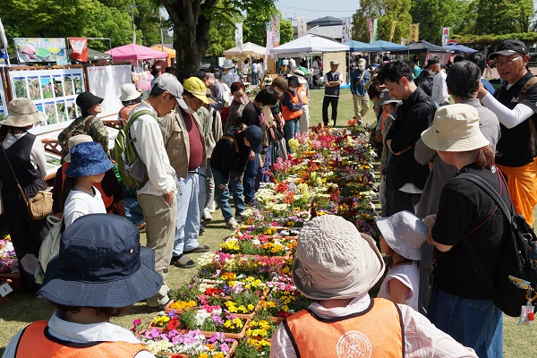 花苗販売