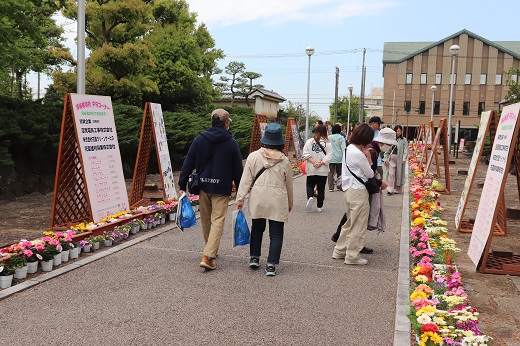 パネル展示