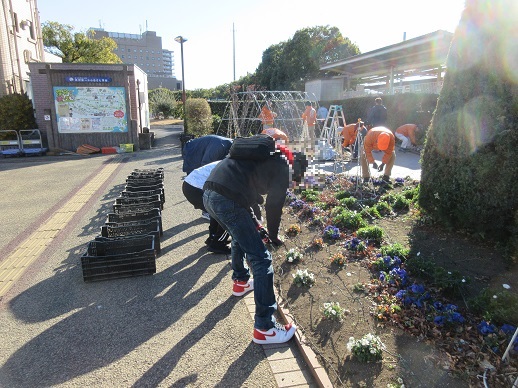 イルミネーション撤去