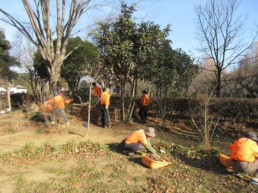 ヒーリングガーデン整備