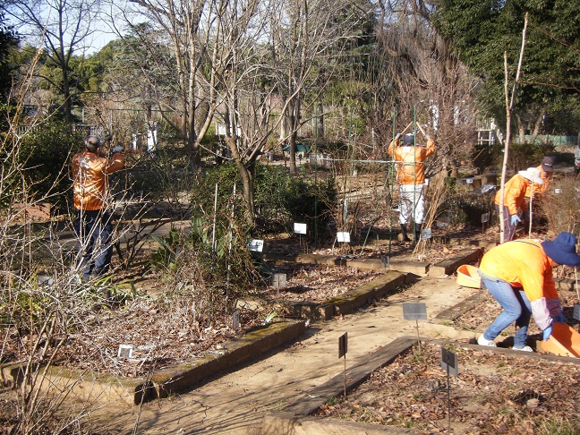 メディカルガーデン整備