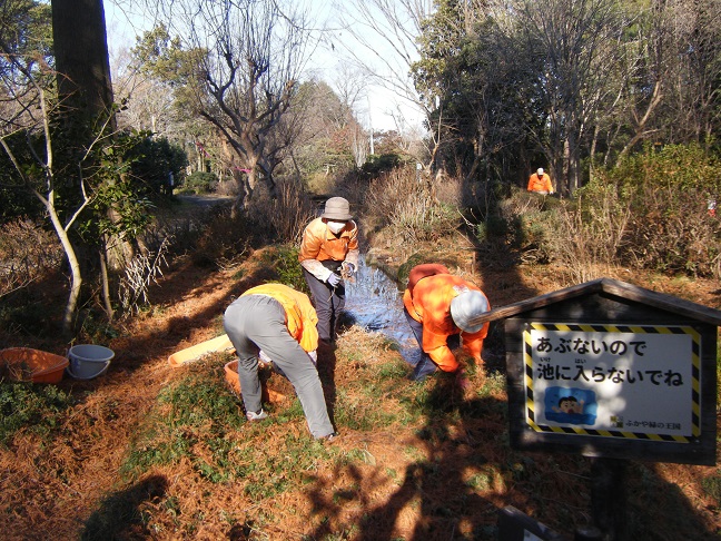 ラクウショウの森清掃