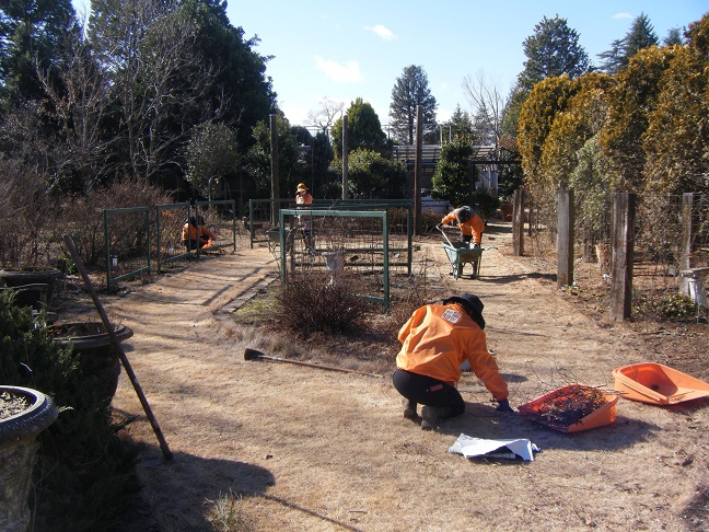 クレマチスガーデン