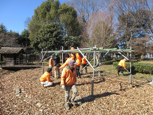 ぶどう棚の整備