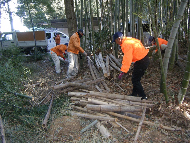 竹林の整備