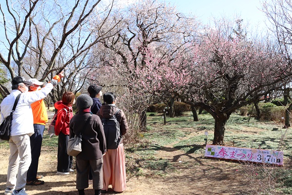 梅園の様子