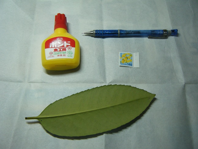 タラヨウ郵便計画